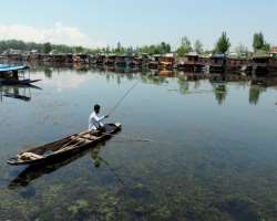 It is said that Dal Lake is the ultimate hub for fishing and harvesting water plants for the locals and also an important source of commercial service